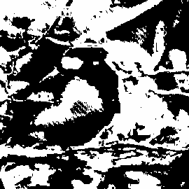 Édition 2